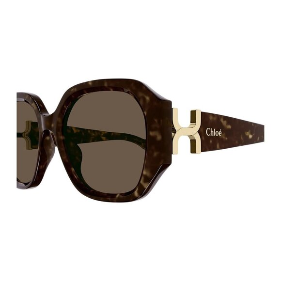 New CHLOE Havana Square CH0236S 002 Sunglasses Women - Picture 3 of 4